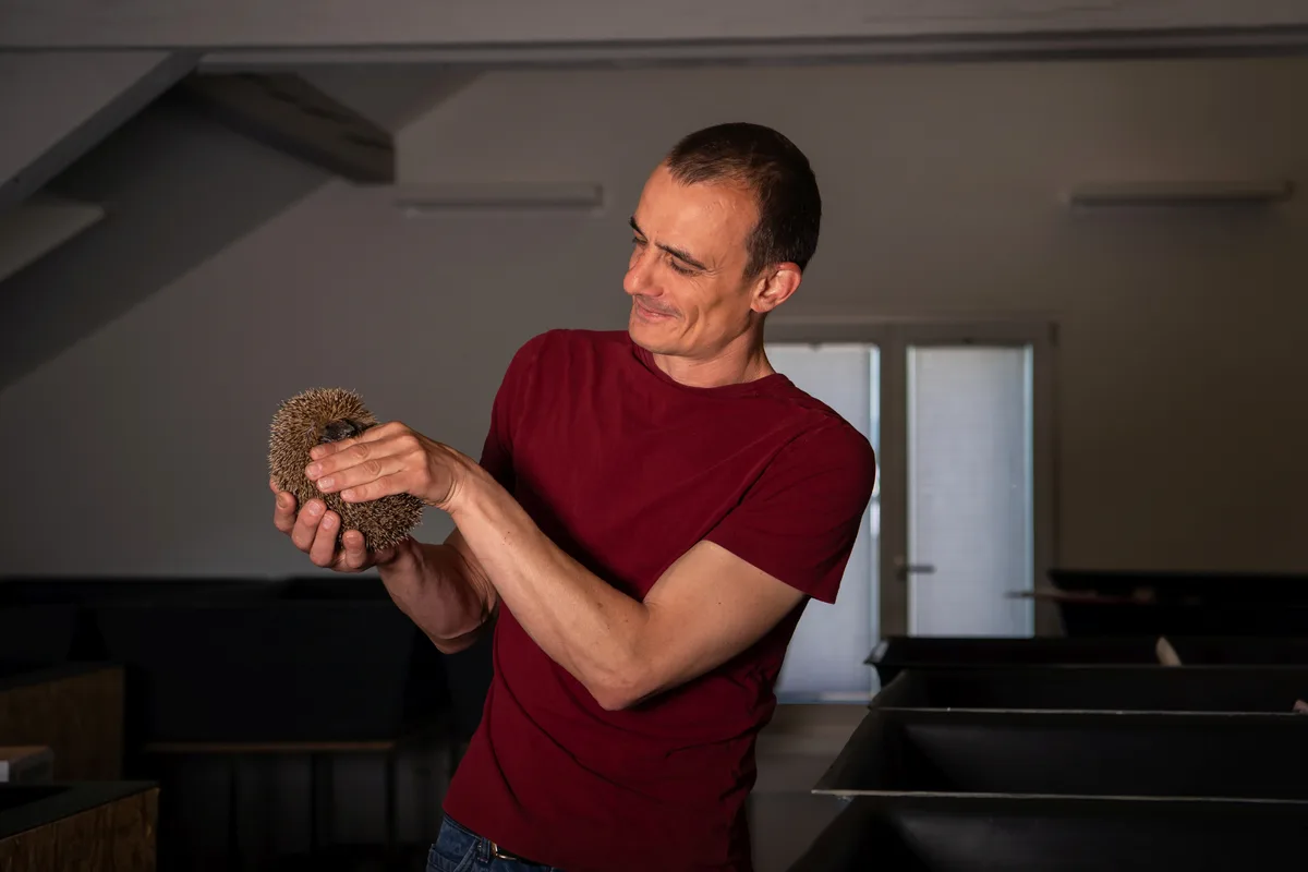 Marco Schaffner, Leiter der Igelstation Igelhilfe Hinwil